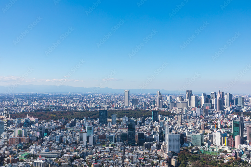 (東京都ｰ都市風景)展望台から見る新宿側風景４
