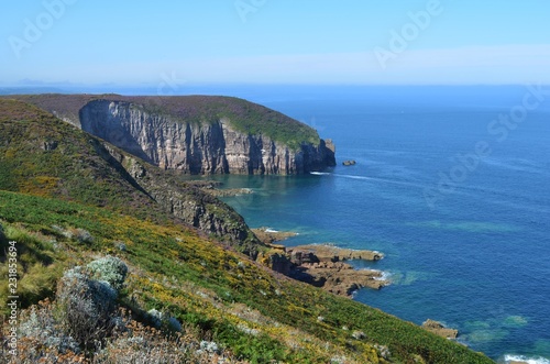 Cliffs on the ocean coast