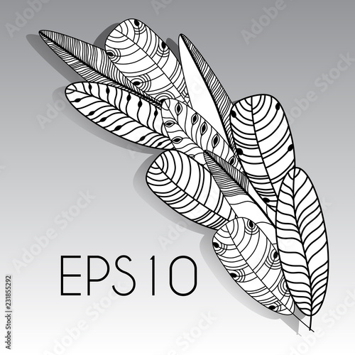 Hand drawn feathers set. Monochrome Vector illustration.
