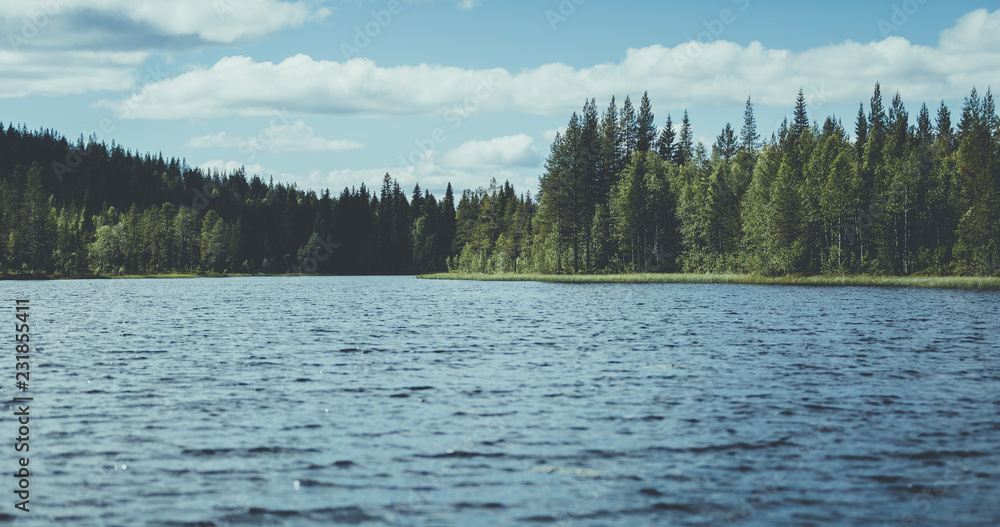 View across a lake in the woods in Swedish Lapland View across a lake in the woods in Swedish Lapland