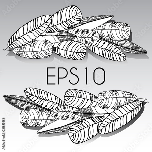 Hand drawn feathers set. Monochrome Vector illustration.