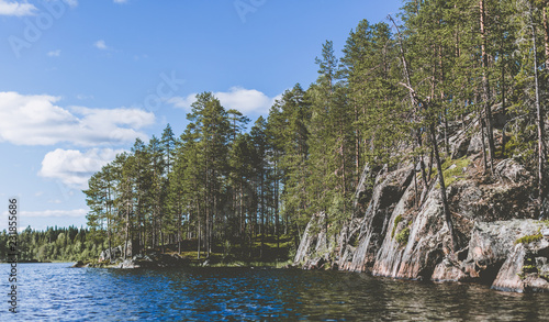 Trees growing on rocks by the side of the lake in the wilderness