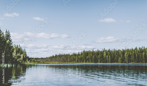 View across a lake in the woods in Swedish Lapland
