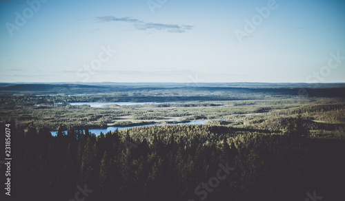 Obraz na plátně Looking across the forest on Swedish Lapland