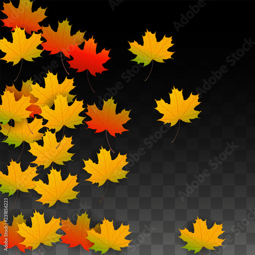 September Vector Background with Golden Falling Leaves. Autumn Illustration with Maple Red  Orange  Yellow Foliage. Isolated Leaf on Transparent Background. Bright Swirl. Suitable for Posters.