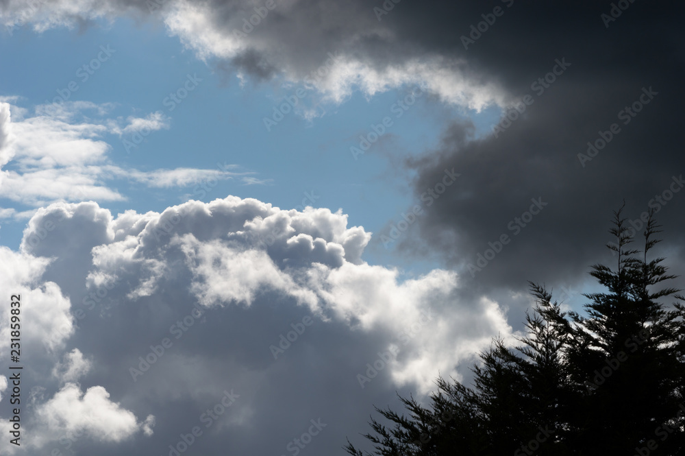 Billowing clouds with blue sky and tree silhouette. Moody stormy weather with both dark grey clouds and contrasting brightly lit white clouds. Billowing clouds with blue sky and tree silhouette. Moody stormy weather with both dark grey clouds and contrasting brightly lit white clouds.
