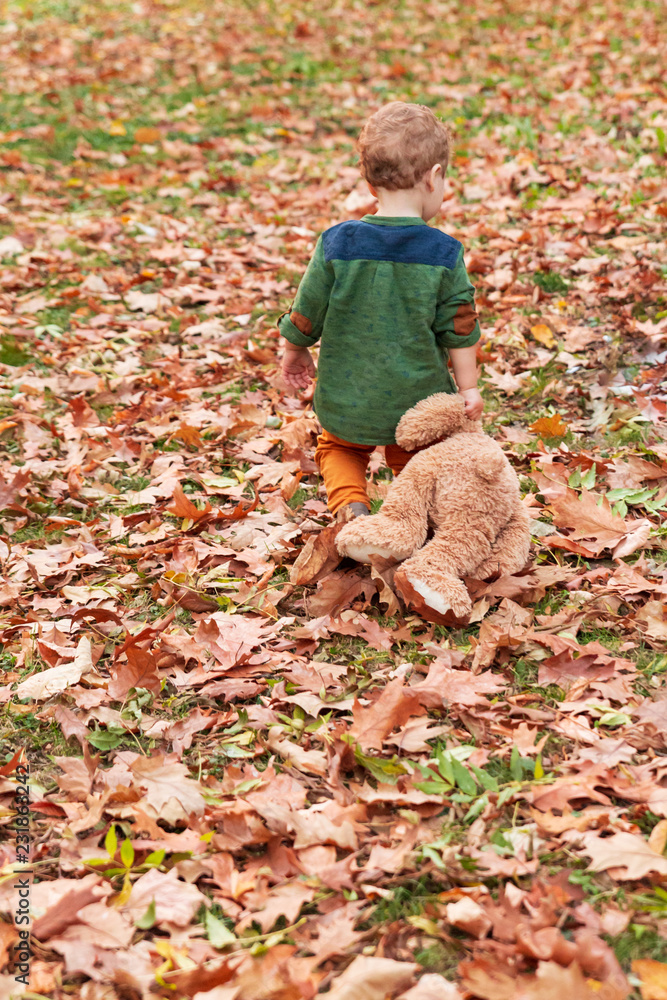 Little boy walking in autumn park with teddy bear Little boy walking in autumn park with teddy bear