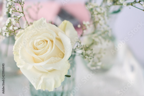 wei  e Rose mit Schleierkraut auf hellem Hintergrund von oben