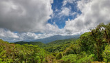 View over the canopy surrounding the Arenal volcano, Monteverde, Costa rica