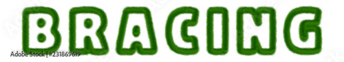 Bracing - text written with grass