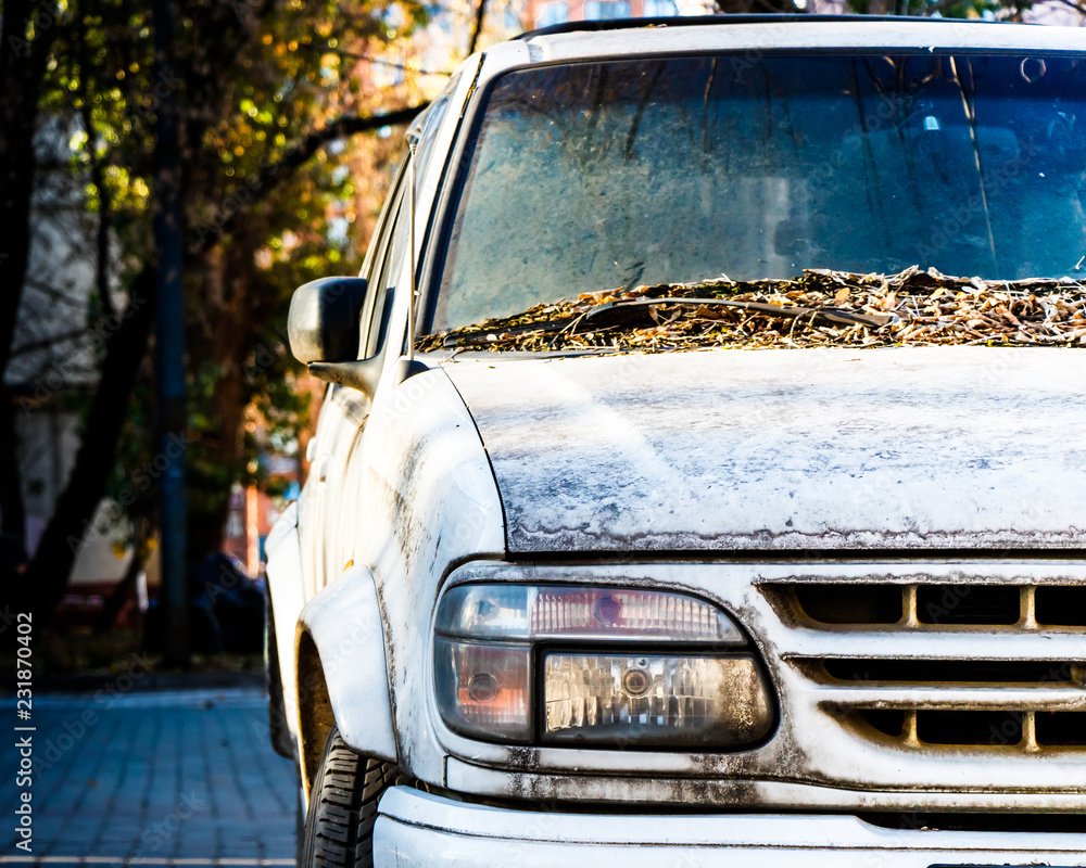 Obraz premium dirty car, car care, car in autumn