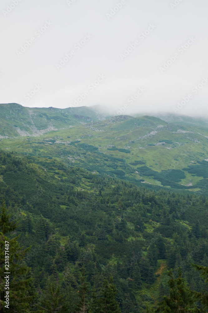 Mountain valley at daytime. Natural summer landscape.Colorful summer landscape in the Carpathian mountains.