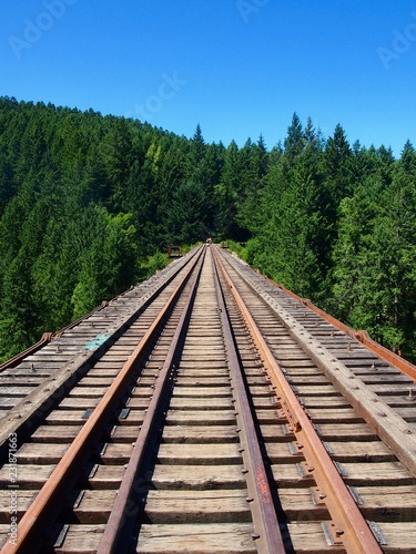Wooden railroad tracks goinig straight into the spruce forest - Train