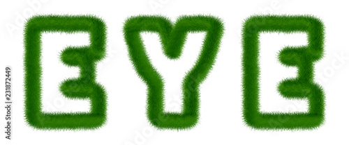 Eye - text written with grass