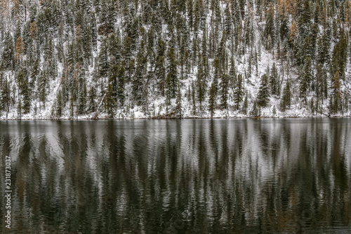 forest snow water reflection background