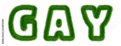 Gay - text written with grass