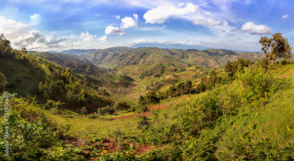 Amazing landscape panorama of african Uganda. Wild and nature in Africa. Beautiful landscape view. Agriculture and green forests and mountains in Uganda.