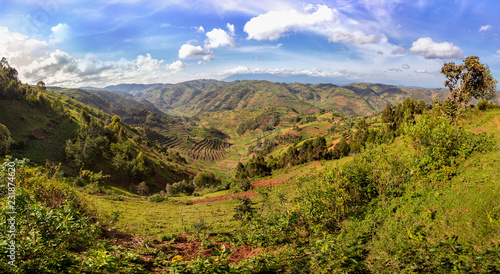 Amazing landscape panorama of african Uganda. Wild and nature in Africa. Beautiful landscape view. Agriculture and green forests and mountains in Uganda. © photocech