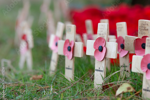 Remembrance poppies on wooden crosses, to commemorate the loss of servicemen in world wars and conflicts. An annual International event in November. photo