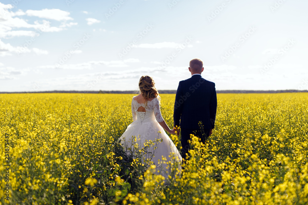 The newlyweds walking on way spring field of yellow flowers The newlyweds walking on way spring field of yellow flowers