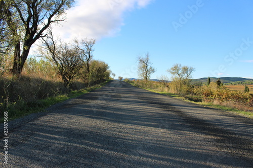 accident de la route