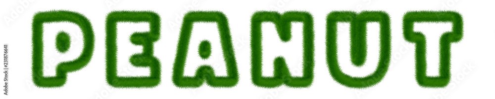 Peanut - text written with grass Peanut - text written with grass