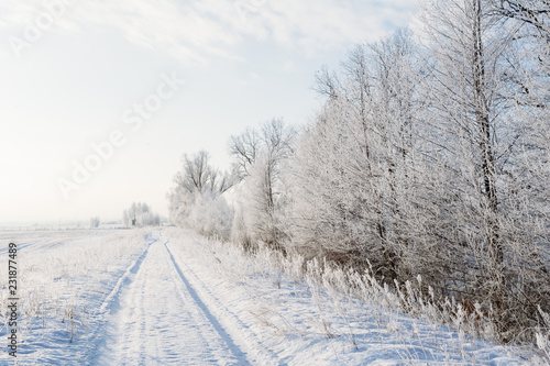Winter landscape with a road and trees in a frost