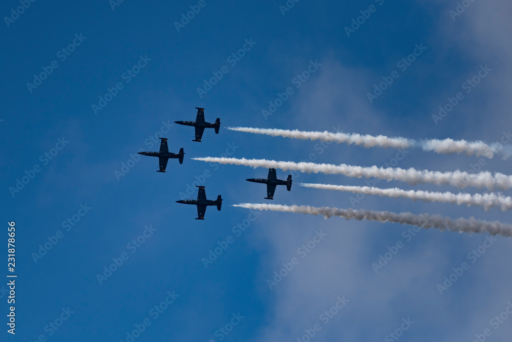 Aerobatic team Russ on aircraft L-39 Albatross performs the program at the air show Aerobatic team Russ on aircraft L-39 Albatross performs the program at the air show