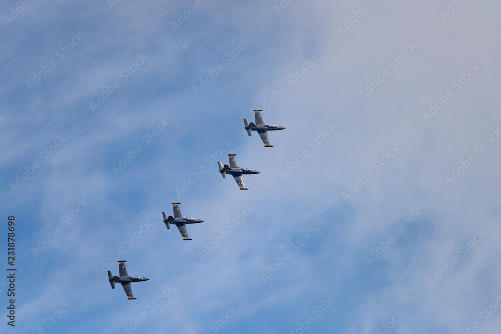 Aerobatic team Russ on aircraft L-39 Albatross performs the program at the air show Aerobatic team Russ on aircraft L-39 Albatross performs the program at the air show