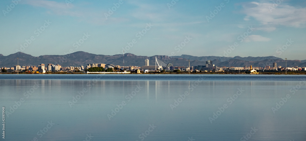 Obraz premium Valencia city skyline and albufera rice fields