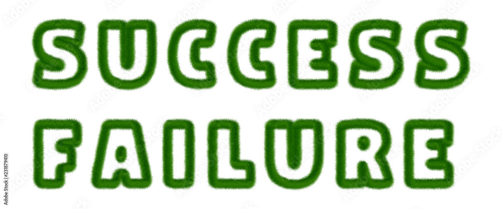 Fototapeta premium Success Failure - text written with grass