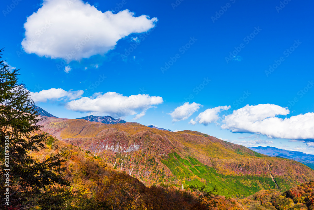 いろは坂からの景色　Beautiful autumn color in Nikko Japan