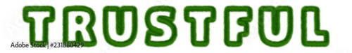 Trustful - text written with grass