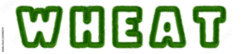 Wheat - text written with grass Wheat - text written with grass