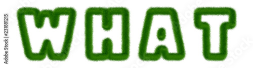 What - text written with grass