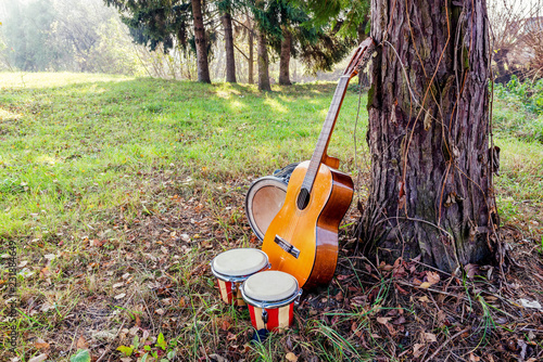 Old music instruments on grass. Guitar, drum and bongos