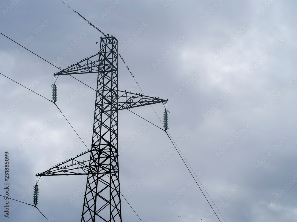 Migrating birds gather on a high voltage power line, pylon, in autumn.