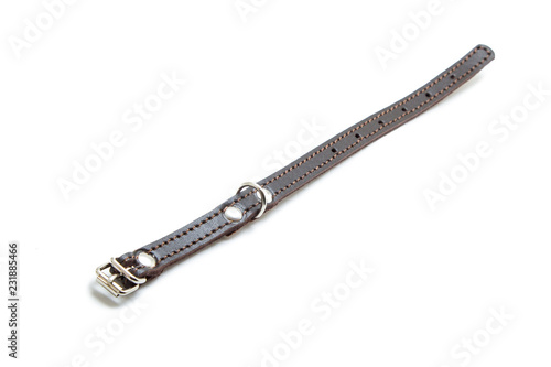 Cat and dog collar on white background