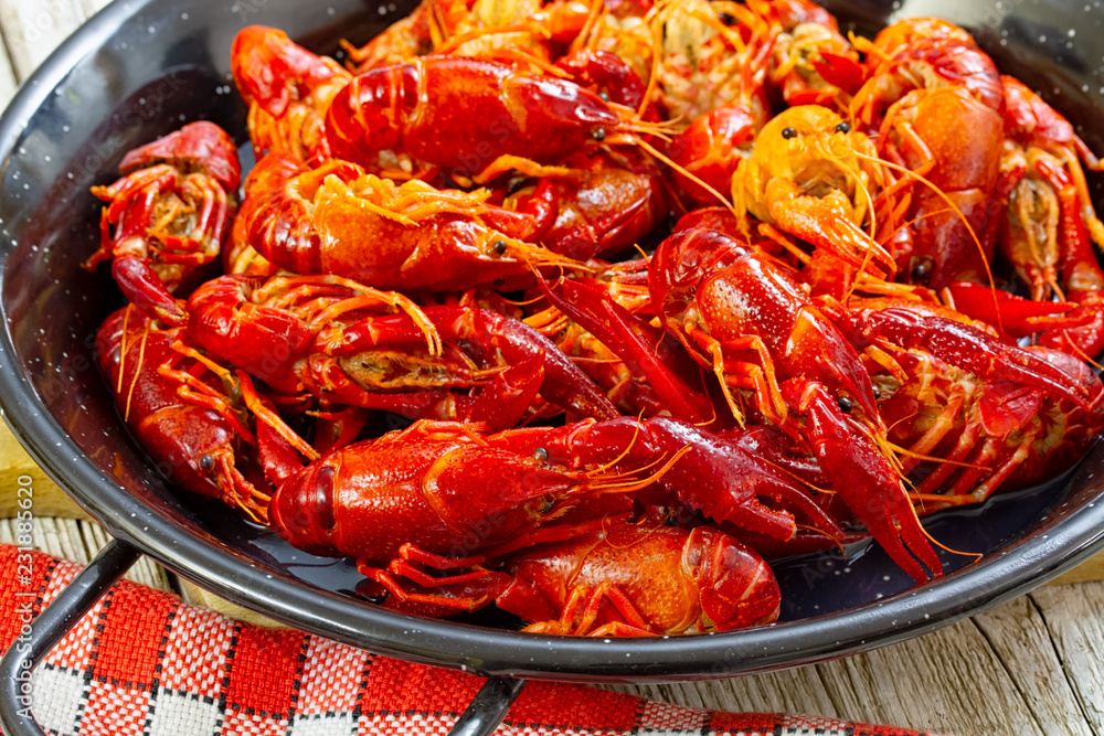 crayfish on white background crayfish on white background