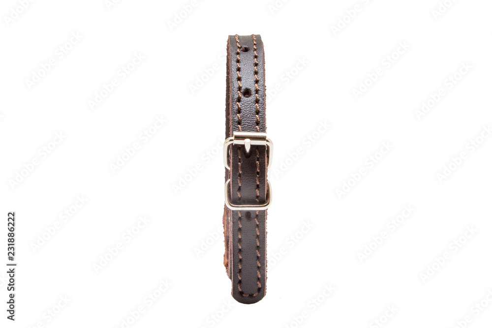Cat and dog collar on white background Cat and dog collar on white background