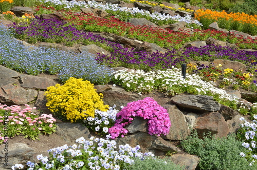 Jardines de Villa Carlotta, Lago de Como, Italia photo