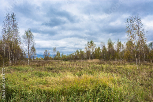 Beautiful autumn landscape on a cloudy day with a cloudy sky. © Valery Smirnov