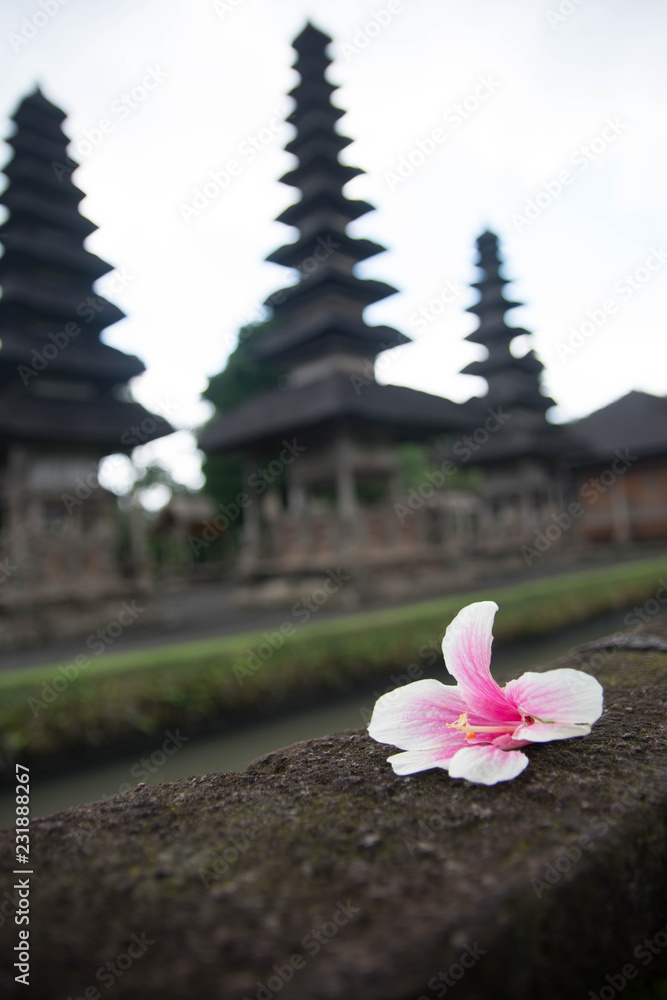 Bali Temple Flower