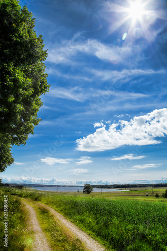 Wallpaper Mural road in the field Torontodigital.ca