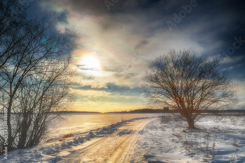 Wallpaper Mural sunset in winter forest Torontodigital.ca