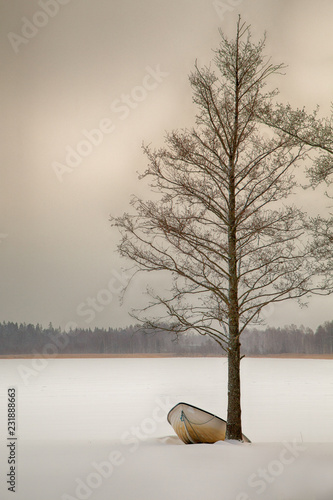 Wallpaper Mural winter landscape with trees and snow Torontodigital.ca