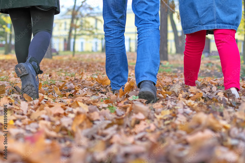 Three pairs of legs male and female go on autumn leaves Three pairs of legs male and female go on autumn leaves