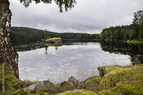 Wallpaper Mural lake in the Värmland Sweden Torontodigital.ca