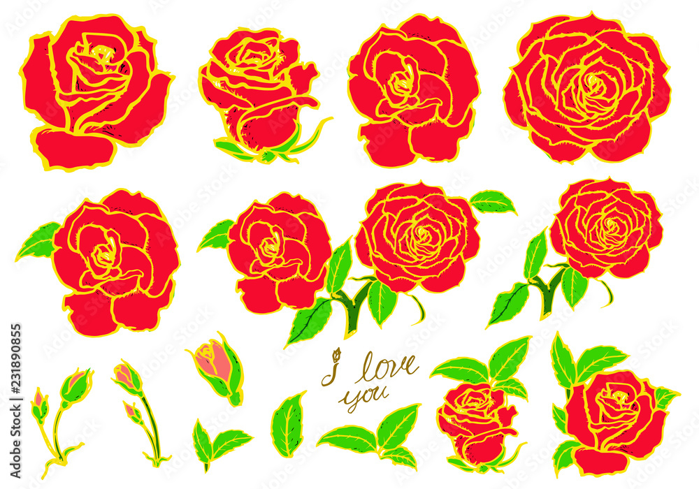 Fototapeta premium vintage flower,nature, vector