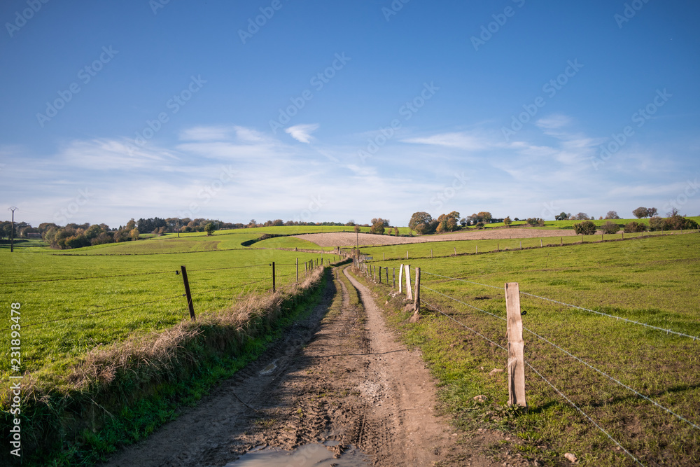 Fototapeta premium Country road 